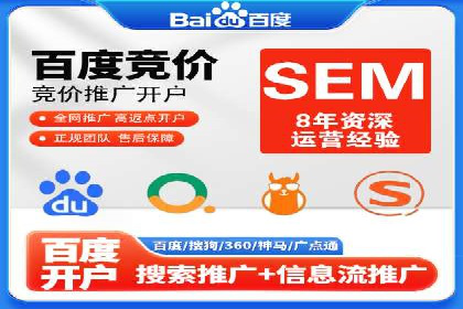 某大型企业选择SEM竞价代运营公司的决策过程与效果评估
